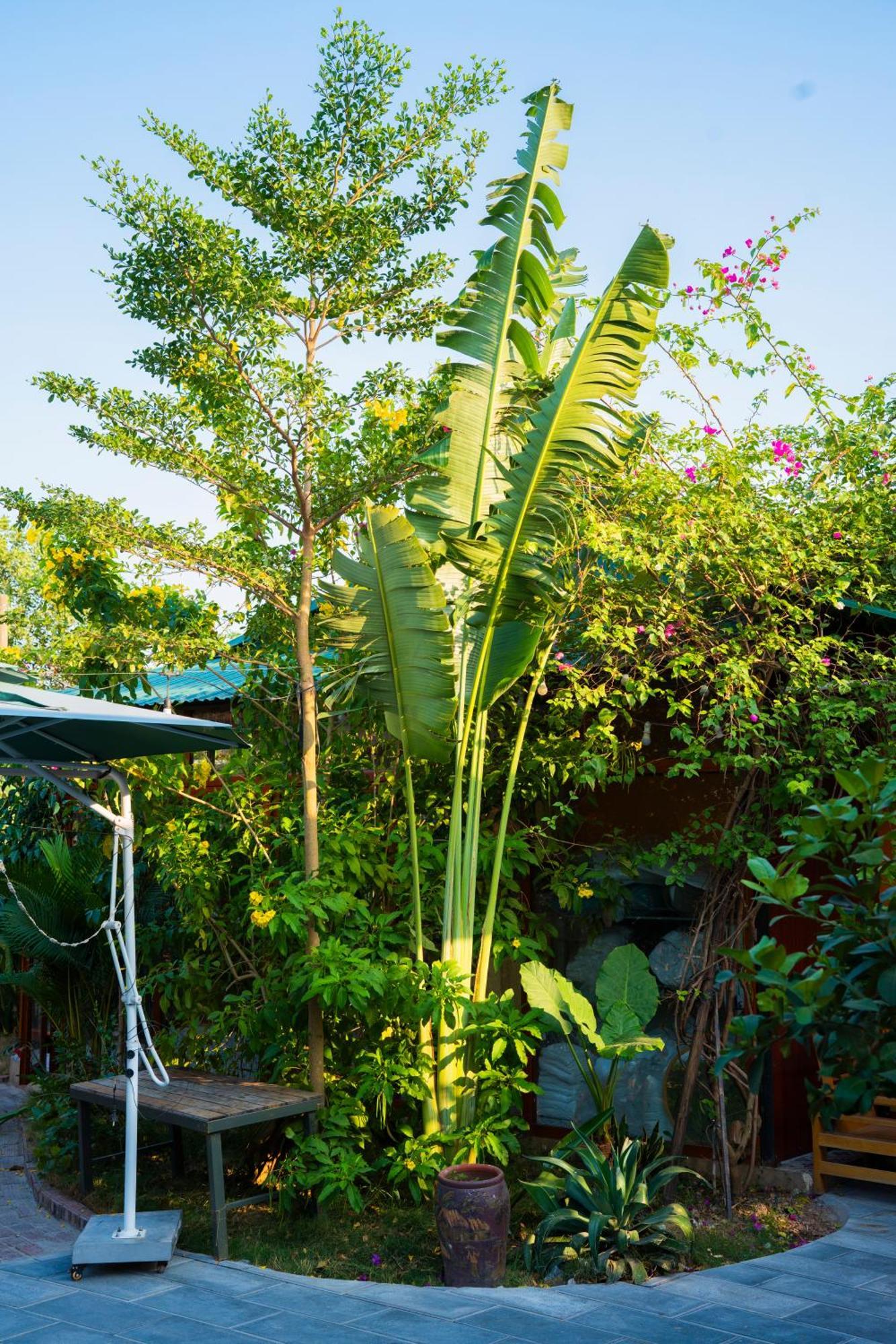 Hotel Rosa Garden Ninh Binh Esterno foto