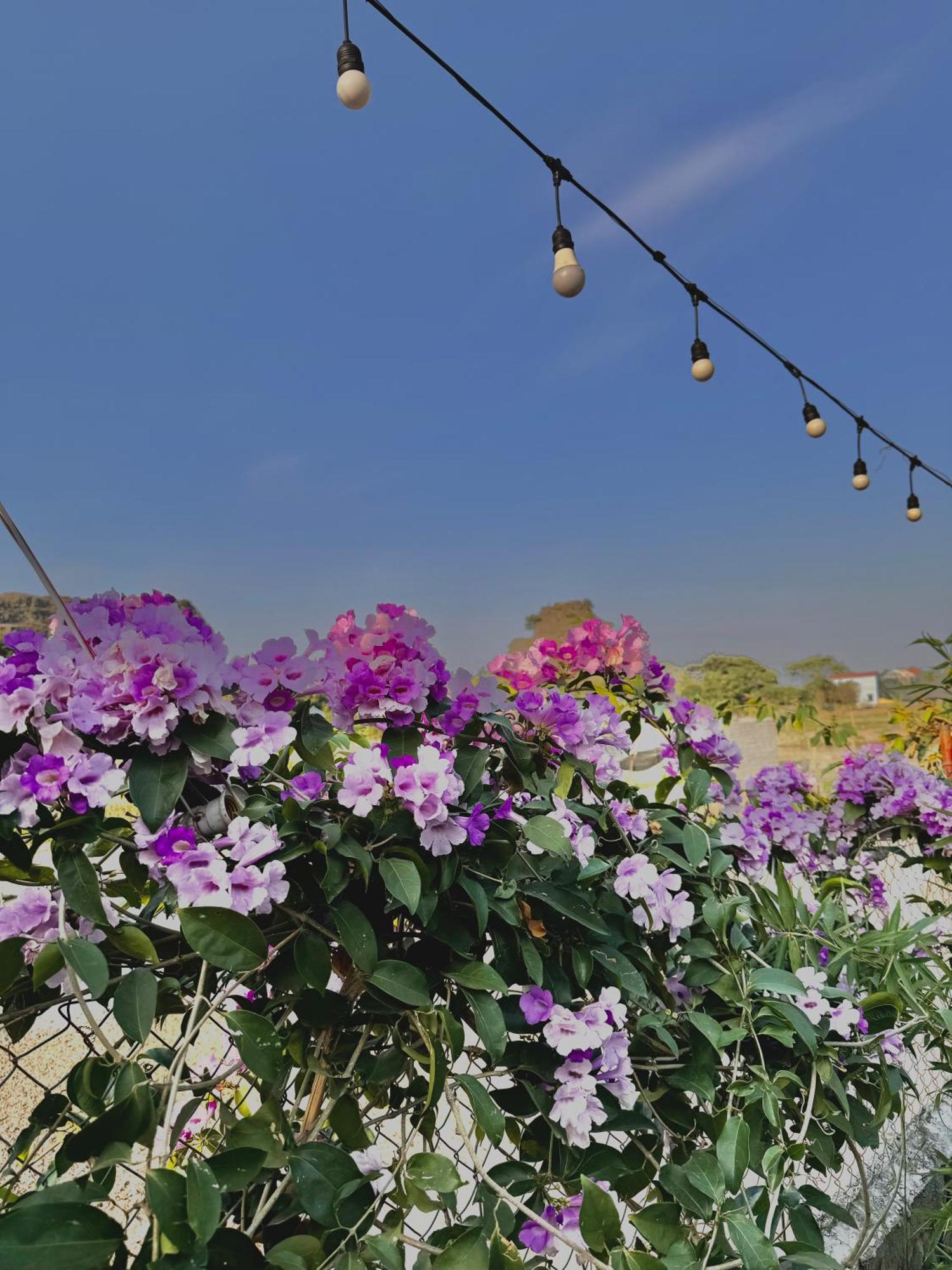 Hotel Rosa Garden Ninh Binh Esterno foto